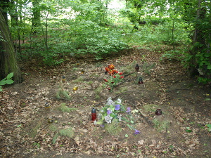 Cmentarz ewangelicki w Borowej.