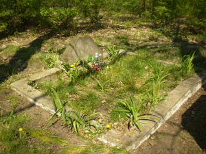 Cmentarz ewangelicki we Florentynowie.