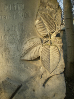 Cmentarz ewangelicki w Justynowie.