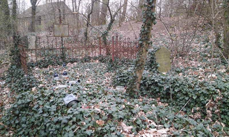 Cmentarz ewangelicki w Sowinkach, gm. Mosina, pow. poznański. Fot. J. Wałkowska, kwiecień 2016