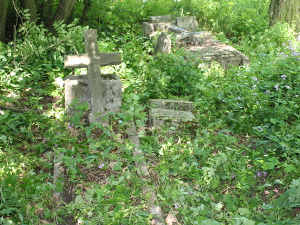 Cmentarz ewangelicki w Rochowie.