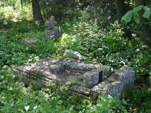 Cmentarz ewangelicki w Rochowie.