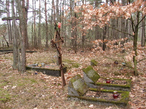 Cmentarz ewangelicki w Rogowcu.