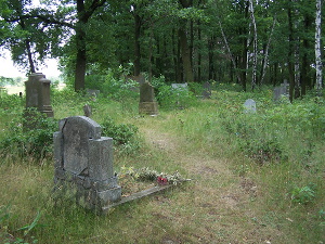 Cmentarz ewangelicki w Rydzynach.