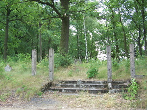 Cmentarz ewangelicki w Rydzynach.
