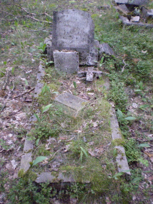 Cmentarz ewangelicki w Starym Annopolu.