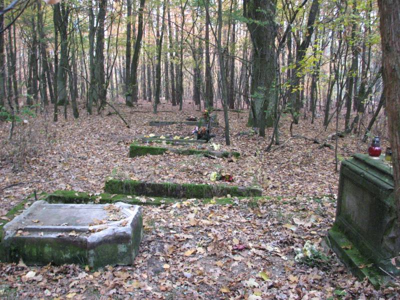 Cmentarz ewangelicki w Wymysłów Piaski